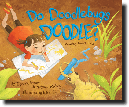 doodlebug cover